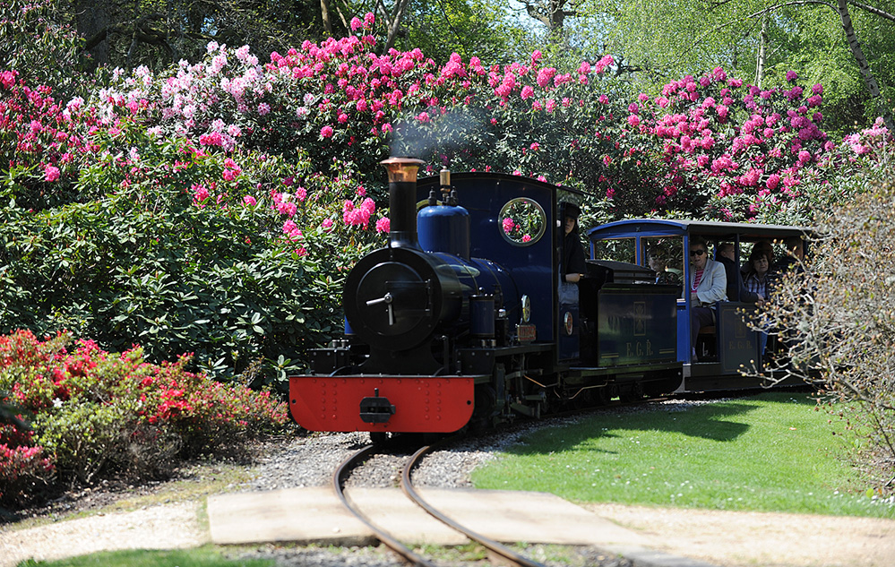 Exbury Gardens New Forest Train and Spring Colour